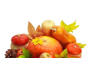 Autumn display with pumpkin and leaves isolated on white background photo
