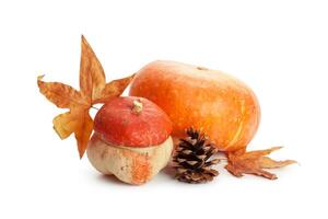 Autumn display with pumpkin and leaves isolated on white background photo