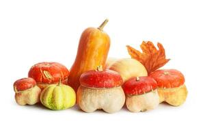 Autumn display with pumpkin and leaves isolated on white background photo