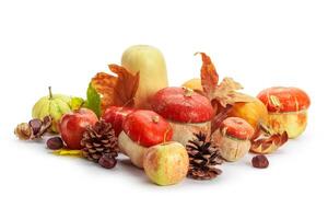 Autumn display with pumpkin and leaves isolated on white background photo