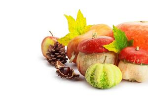 Autumn display with pumpkin and leaves isolated on white background photo