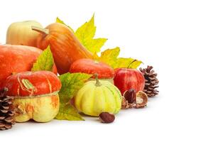 Autumn display with pumpkin and leaves isolated on white background photo