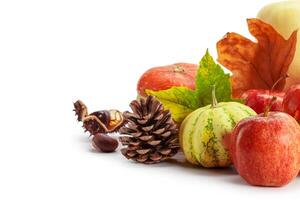 Autumn display with pumpkin and leaves isolated on white background photo