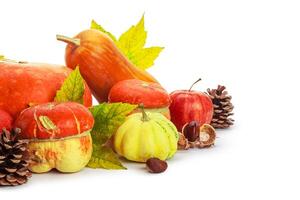 Autumn display with pumpkin and leaves isolated on white background photo