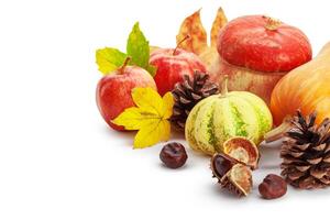 Autumn display with pumpkin and leaves isolated on white background photo