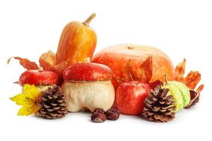 Autumn display with pumpkin and leaves isolated on white background photo