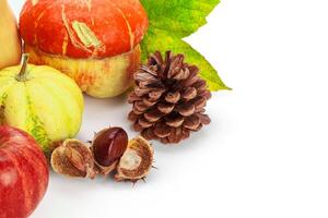 Autumn display with pumpkin and leaves isolated on white background photo