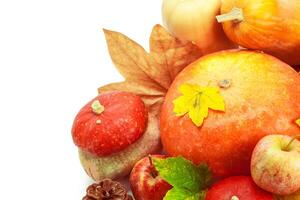 Autumn display with pumpkin and leaves isolated on white background photo