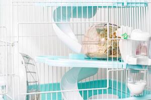 Pet cage showcases a neat design and easy access for small animals in a bright setting photo