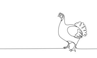 Banner continuous line turkey. Poultry. Linear minimal style. Outline illustration, line art vector