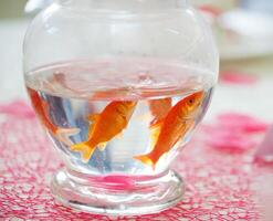 Goldfish in ampule used as centerpieces photo