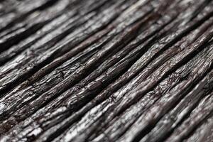 Vanilla beans texture. photo