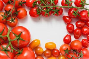 Variety of tomatoes on white background with copy space. photo