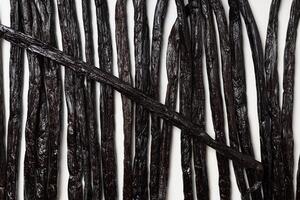 Vanilla beans on white background photo