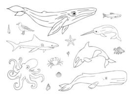 Set of sea animals and fish vector