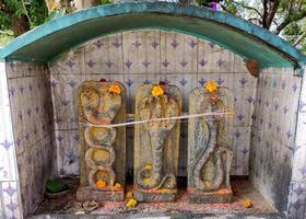 A serene shrine dedicated to Nagas, or serpent deities, is captured in this image. Three intricately carved stone sculptures of Nagas, adorned with flowers and sacred threads in India photo