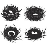 Set of Bird's Nests Collection with Eggs and Birds, Wildlife Illustration vector