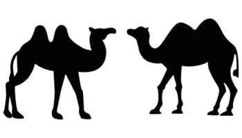 Camel Silhouette for Desert and Wildlife Design Projects vector