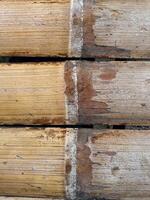 Old bamboo texture photo