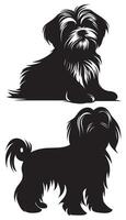 Decorative Shih-Tzu Dog Portrait - Standing Profile Illustration vector