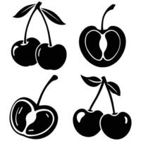 Cherry Illustration for Fruit and Food Designs vector