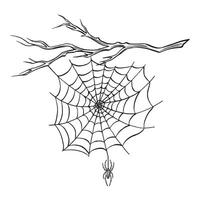 Spider with web on the bare tree branch. Line sketch. Spooky trap of insect thread. Graphic illustration, hand drawn isolate. Black and white animal in the nature. Clipart for card, print. vector