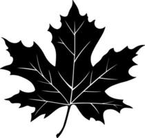 black maple leaf without background vector