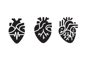 Human Cardiac Muscle organ Art silhouette vector