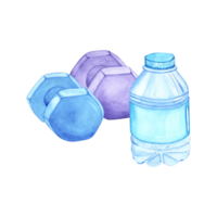 Watercolor illustration of a water bottle and weights. The drawing is done by hand. Elements on a transparent background. Image of objects for stickers, scrapbooking, posters, prints png