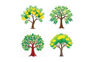 mimosa, locust tree icon art vector