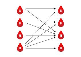 Type of blood group interface concept. Reb blood drop A, B, O, AB with black arrow on a white background. vector