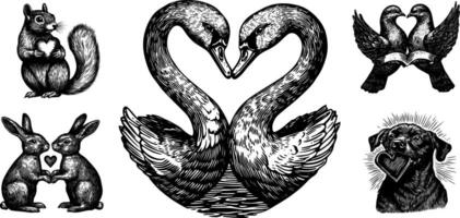 Vintage illustration of animal couples featuring doves, swans, and rabbits in love. Hand drawn sketch of dog and squirrels with heart. vector