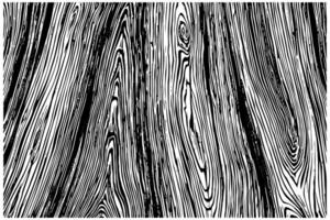 Distress dry wooden overlay texture. Template for design. Pattern for empty background. Illustration in engraved style. vector