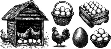 Vintage Sketch Set of Chickens and Hens in a Coop. Hand Drawn Illustrations Featuring Eggs in Box and Basket. vector