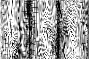 Distress dry wooden overlay texture. Template for design. Pattern for empty background. Illustration in engraved style. vector