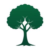 A tree with green leaves on a white background vector