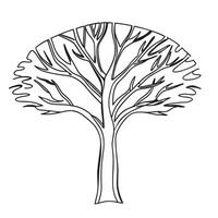 A tree with no leaves is drawn in black and white vector