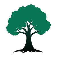 A tree with green leaves on a white background vector