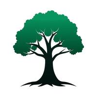 A tree with green leaves on a white background vector