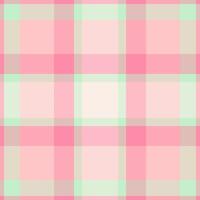 National fabric pattern, faded tartan plaid check. Adorable seamless background texture textile in light and red colors. vector