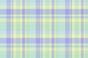 Stripped fabric plaid background, royal texture pattern check. Victorian tartan seamless textile in light and white colors. vector