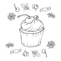 cupcakes with ingredients - berries, spices, sweets hand drawn in doodle style vector