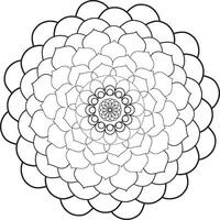 mandala design art vector
