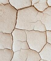 Dry cracked earth surface highlighting drought effects in sunny weather photo