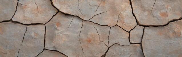 Cracked surface of dry earth showing distressed texture and patterns photo