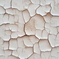 Cracked surface of dry soil revealing textures in natural light photo