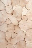 Dry, cracked earth surface texture in warm tones, natural landscape photo