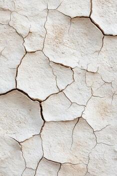 Cracked white surface showing texture in a parched environment photo