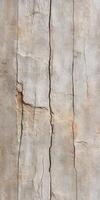 Textured concrete wall with visible cracks and weathered surface detail photo