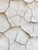Dry cracked earth surface showing signs of drought in a natural setting photo